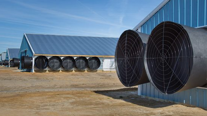 Farm Ventilation