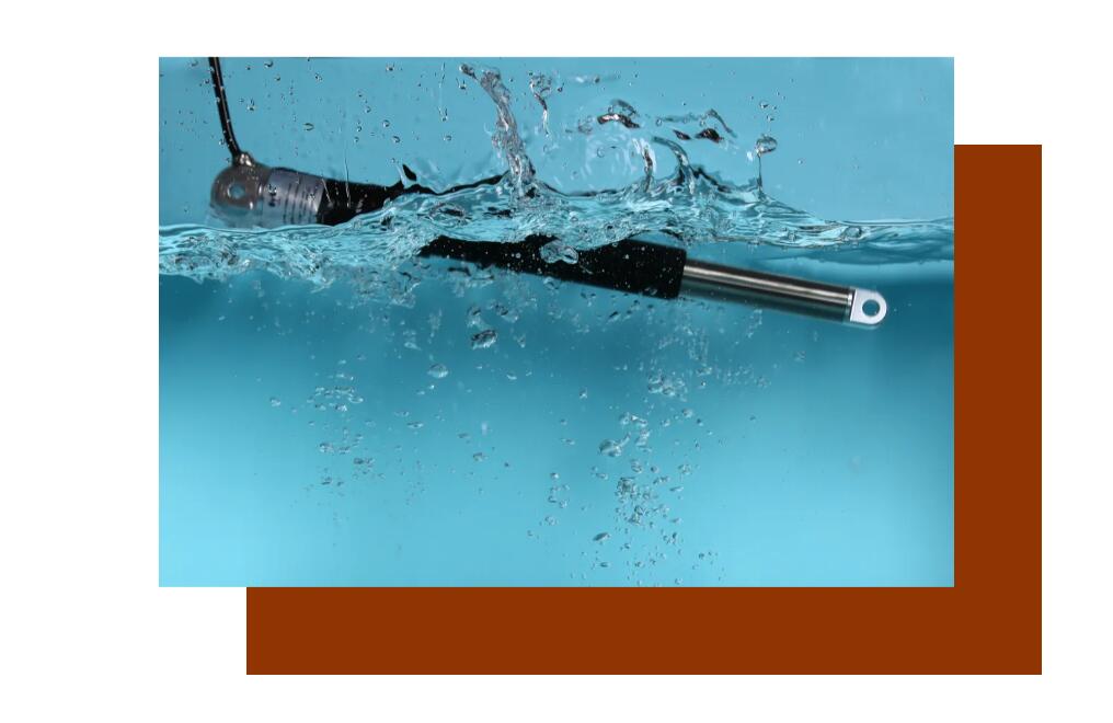 1695089994855442.jpg 1695089994855442.jpg