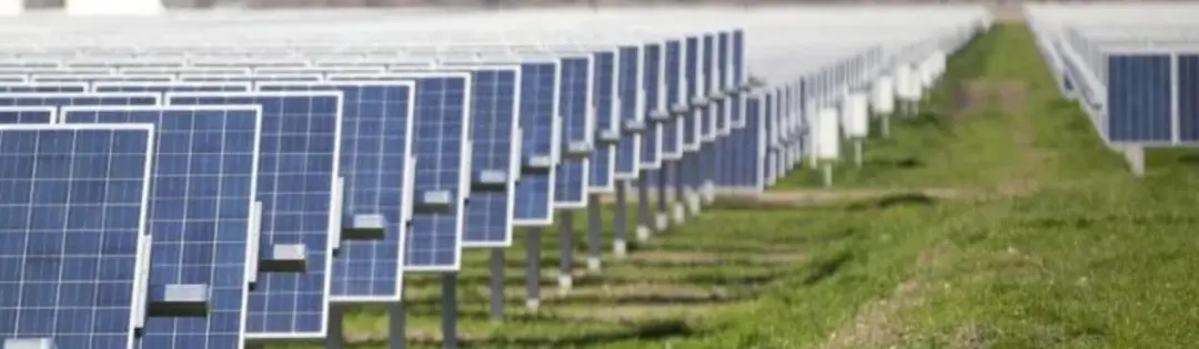 1695092689832837.jpg xmwebp.webp.jpg