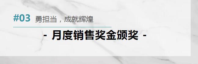 1697165012131582.jpg 3.jpg