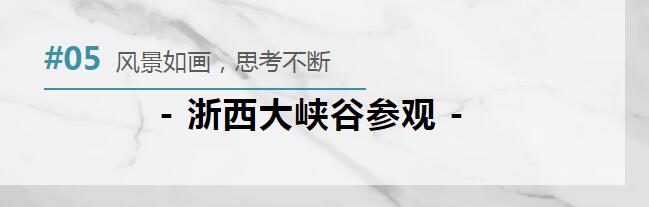 1697165099411559.jpg 5.jpg